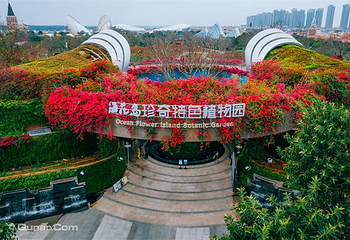 海花岛珍奇特色植物园第 28 张图片