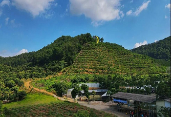 大湾区顺成农业科技生态园第 2 张图片