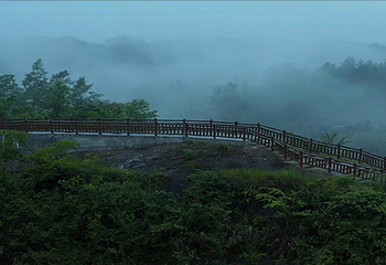 太平山第 11 张图片