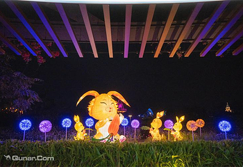 海花岛珍奇特色植物园第 4 张图片