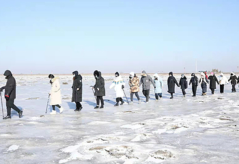 红海滩国家风景廊道第 6 张图片