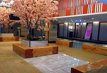 一品汤泉(东智商务广场店)第 15 张图片