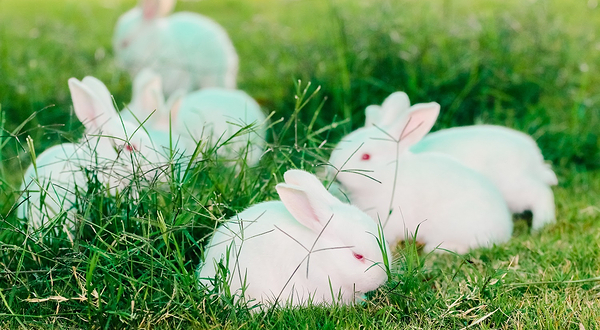 酷芽亲子农场(西樵山店)