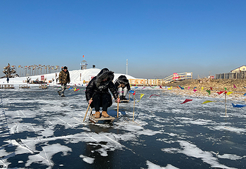 红海滩国家风景廊道第 16 张图片