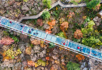 老界岭旅游度假区第 2 张图片