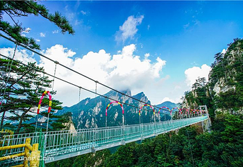 老界岭旅游度假区第 98 张图片