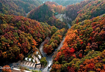 老界岭旅游度假区第 42 张图片