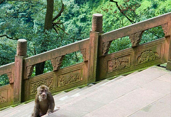 九十九道拐第 2 张图片