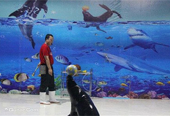 乐民海洋世界第 8 张图片