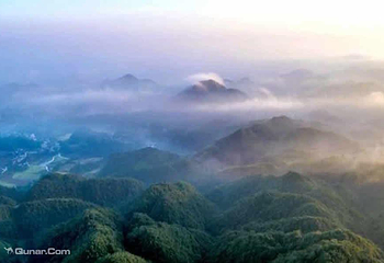 太阳坪映山红景区第 11 张图片
