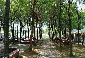 梁子湖葫芦岛房车露营地第 12 张图片