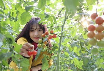 岭南大地百草园第 3 张图片