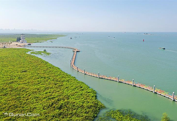 海丝首港景区第 42 张图片