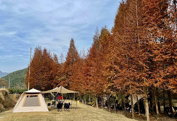 小杭坑小世界营地第 3 张图片