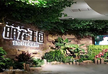 萌宠王国第 10 张图片