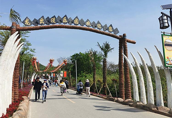 南京龙出没乐园第 21 张图片