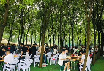 梁子湖葫芦岛房车露营地第 11 张图片