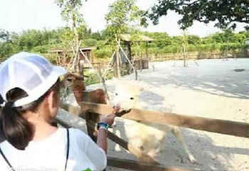 北纬WOWO部落第 23 张图片