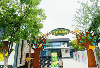 紫金山昆虫博物馆第 6 张图片
