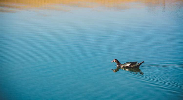 不止沙·伴湖露营地