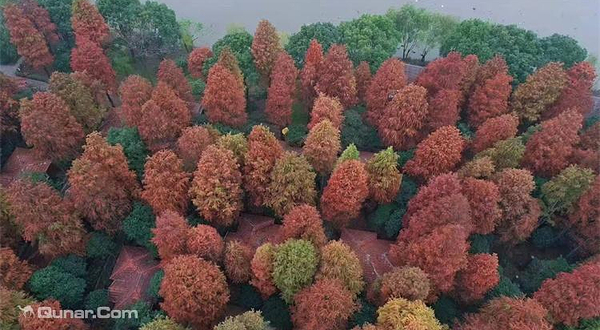 大千天鹅湖露营地