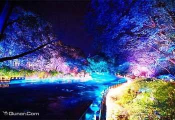 黄果树大瀑布夜游第 3 张图片