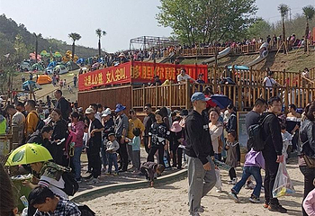 南京龙出没乐园第 3 张图片
