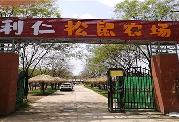 松鼠农场第 1 张图片