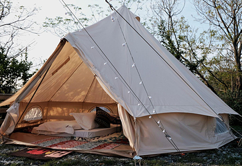 Camp Wonder露营地第 11 张图片
