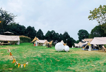 天马山来野营地第 8 张图片