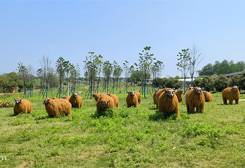 武汉梁子湖拾光牧场第 53 张图片