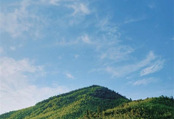 野邻花园营地X Camping第 4 张图片