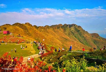 太阳坪映山红景区第 12 张图片
