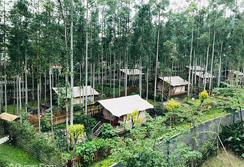 北迹露营1号露营地第 41 张图片