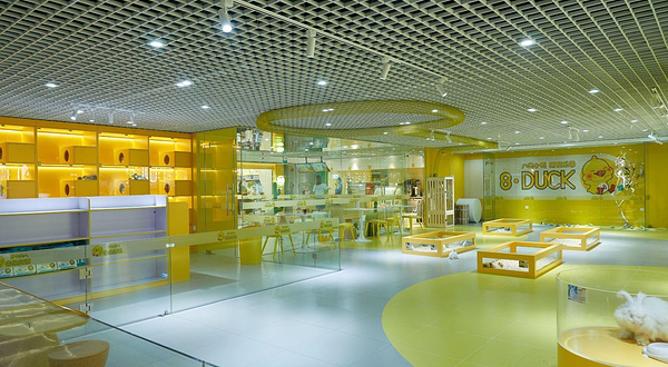 八只小鸭萌宠乐园