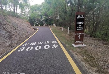 分塔山省级森林公园第 5 张图片