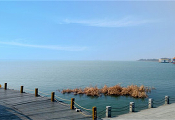 南海湿地景区第 2 张图片