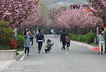 青岛宝湖奔马园第 49 张图片