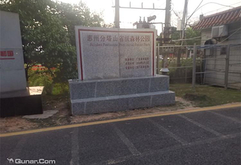 分塔山省级森林公园第 11 张图片