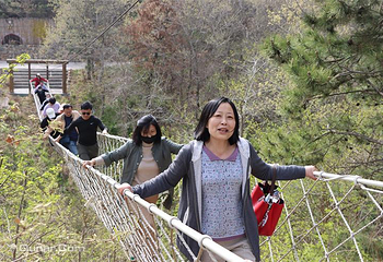 青岛宝湖奔马园第 7 张图片