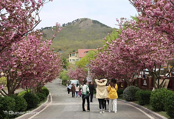 青岛宝湖奔马园第 31 张图片