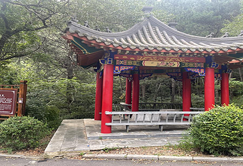 大芦花景区第 30 张图片