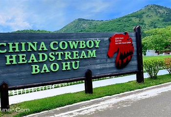 青岛宝湖奔马园第 28 张图片