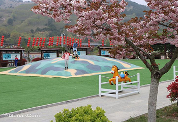 青岛宝湖奔马园第 29 张图片