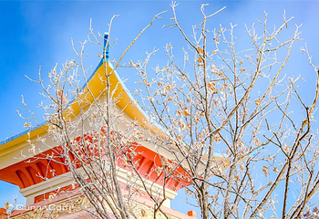 中国马镇旅游度假区第 87 张图片