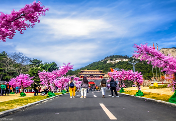 大芦花景区第 41 张图片