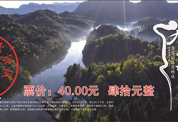 九道水森林公园第 6 张图片