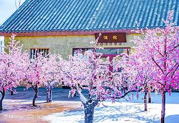 中国马镇旅游度假区第 91 张图片