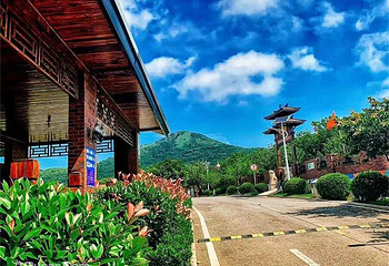 青岛宝湖奔马园第 26 张图片