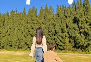 木麻野营露营地第 2 张图片